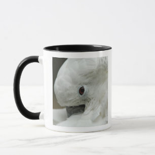 North America, USA, Florida, St. Augustine Mug