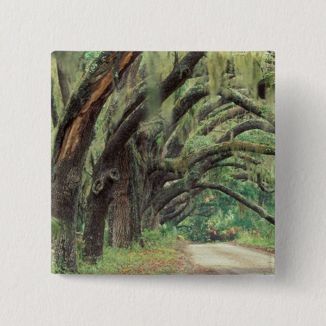 North America, USA, Georgia, Cumberland 2 15 Cm Square Badge (Front)