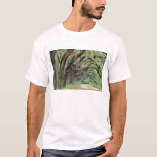 North America, USA, Georgia, Cumberland 2 T-Shirt