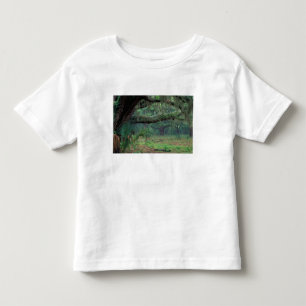 North America, USA, Georgia, Cumberland Toddler T-Shirt