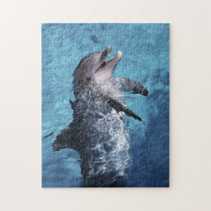 North America, USA, Hawaii. Dolphin Jigsaw Puzzle