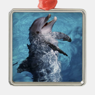 North America, USA, Hawaii. Dolphin Metal Ornament