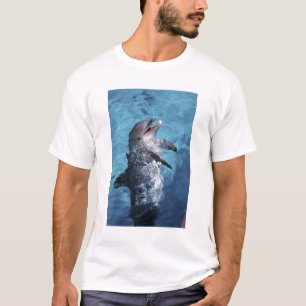 North America, USA, Hawaii. Dolphin T-Shirt