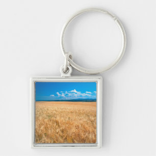North America, USA, Idaho. Barley field in Key Ring