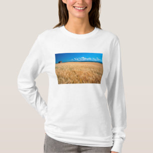North America, USA, Idaho. Barley field in T-Shirt