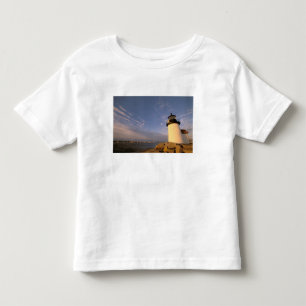 North America, USA, Massachusetts, Nantucket Toddler T-Shirt