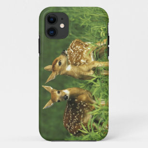 North America, USA, Minnesota. White-tailed 2 iPhone 11 Case