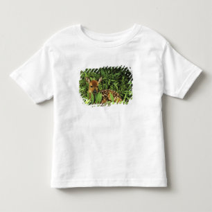 North America, USA, Minnesota. White-tailed Toddler T-Shirt
