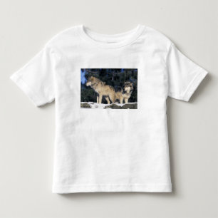 North America, USA, Minnesota. Wolf Canis 2 Toddler T-Shirt