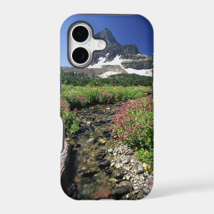 North America, USA, Montana, Glacier National 3