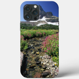 North America, USA, Montana, Glacier National 3 iPhone 13 Pro Max Case