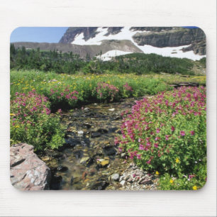 North America, USA, Montana, Glacier National 3 Mouse Pad