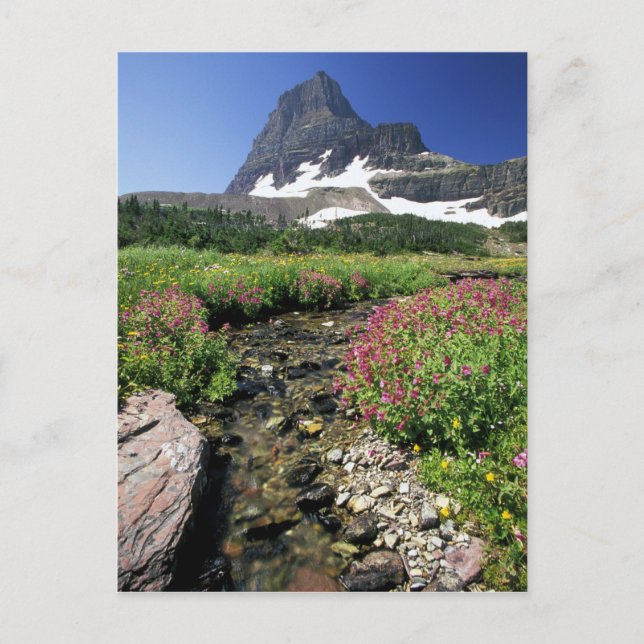 North America, USA, Montana, Glacier National 3 Postcard (Front)