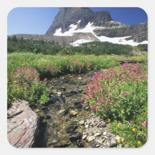 North America, USA, Montana, Glacier National 3 Square Sticker