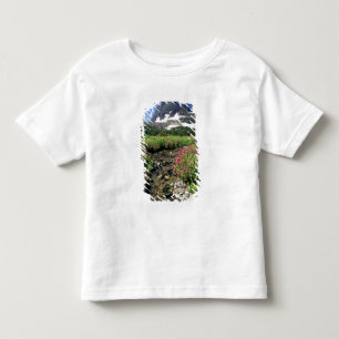 North America, USA, Montana, Glacier National 3 Toddler T-Shirt