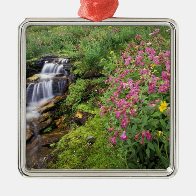 North America, USA, Montana, Glacier National 4 Metal Ornament (Front)