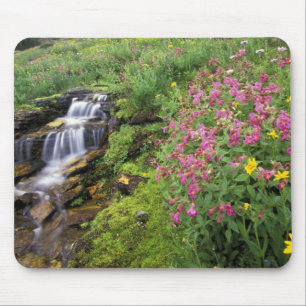 North America, USA, Montana, Glacier National 4 Mouse Pad