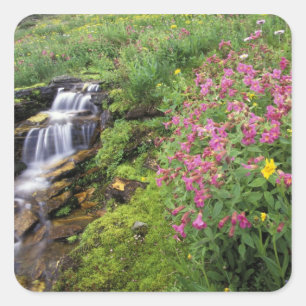 North America, USA, Montana, Glacier National 4 Square Sticker