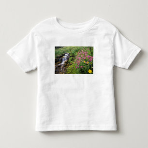 North America, USA, Montana, Glacier National 4 Toddler T-Shirt