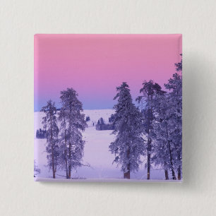 North America, USA, Montana, Yellowstone 15 Cm Square Badge