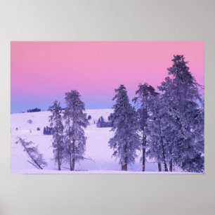 North America, USA, Montana, Yellowstone Poster