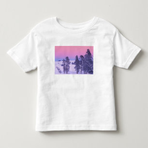 North America, USA, Montana, Yellowstone Toddler T-Shirt