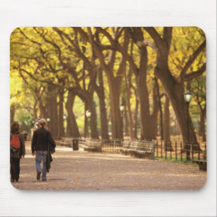 North America, USA, New York, New York City. 11 Mouse Pad