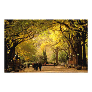 North America, USA, New York, New York City. 12 Photo Print