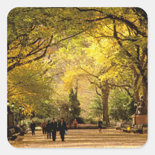 North America, USA, New York, New York City. 12 Square Sticker