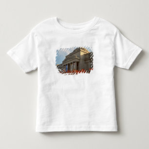 North America, USA, New York, New York City, 4 Toddler T-Shirt
