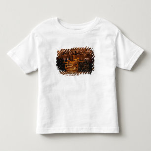 North America, USA, New York, New York City. 6 Toddler T-Shirt