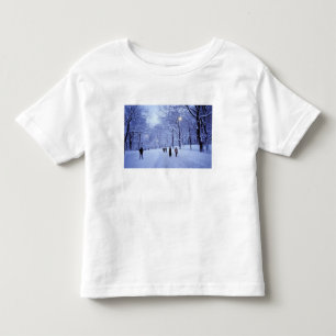 North America, USA, New York, New York City. 8 Toddler T-Shirt