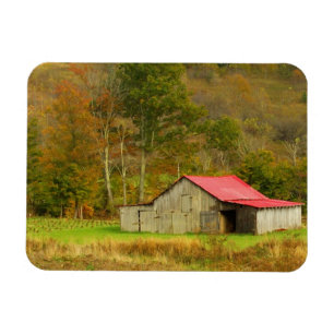 North America, USA, North Carolina, rural Magnet