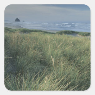 North America, USA, Oregon, Canon Beach, Square Sticker