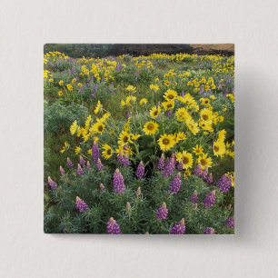 North America, USA, Oregon, Columbia River 15 Cm Square Badge
