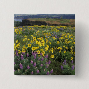 North America, USA, Oregon, Columbia River 2 15 Cm Square Badge