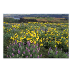North America, USA, Oregon, Columbia River 2 Photo Print