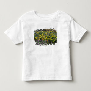North America, USA, Oregon, Columbia River 2 Toddler T-Shirt