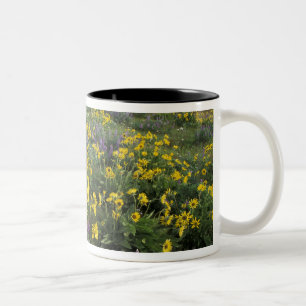 North America, USA, Oregon, Columbia River 2 Two-Tone Coffee Mug