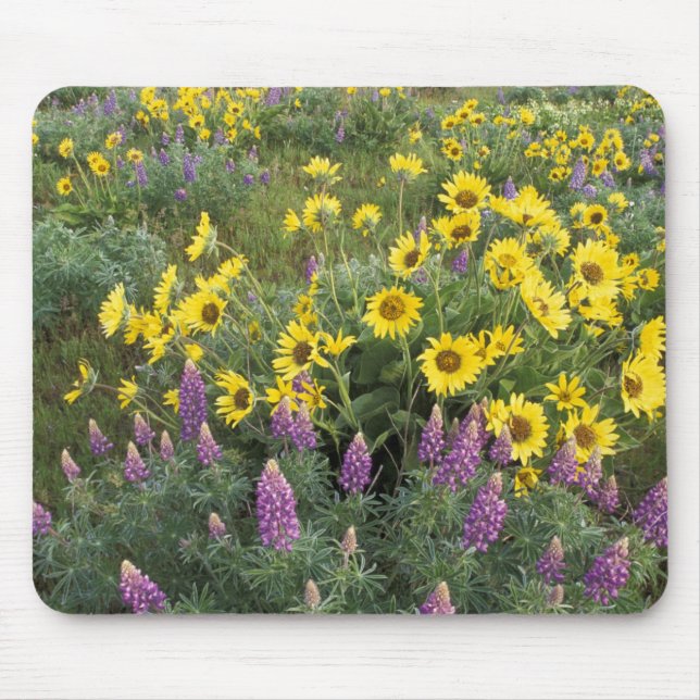 North America, USA, Oregon, Columbia River Mouse Pad (Front)
