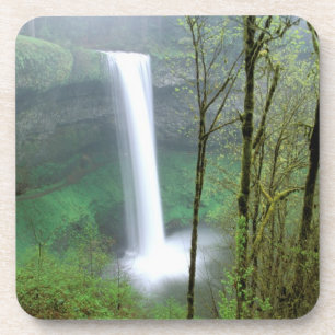 North America, USA, Oregon, Silver Falls State Coaster