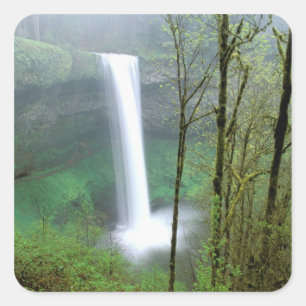 North America, USA, Oregon, Silver Falls State Square Sticker