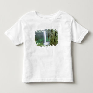 North America, USA, Oregon, Silver Falls State Toddler T-Shirt