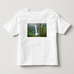 North America, USA, Oregon, Silver Falls State Toddler T-Shirt