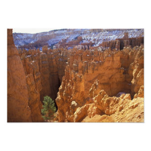 North America, USA, Utah, Bryce Canyon 2 Photo Print