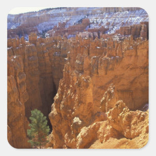North America, USA, Utah, Bryce Canyon 2 Square Sticker