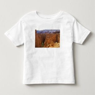 North America, USA, Utah, Bryce Canyon 2 Toddler T-Shirt