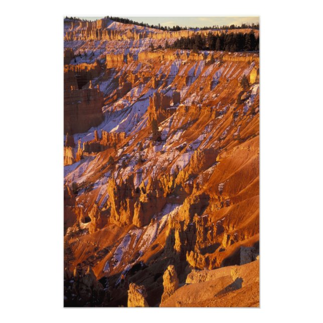 North America, USA, Utah, Bryce Canyon Photo Print (Front)