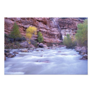 North America, USA, Utah, Zion National Park. 2 Photo Print