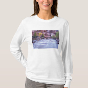 North America, USA, Utah, Zion National Park. 2 T-Shirt